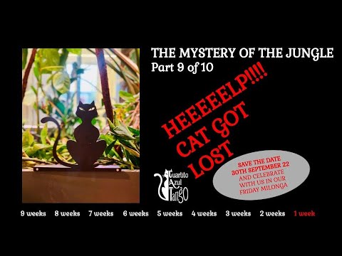 Mystery of the Jungle - Part 9