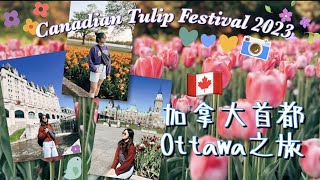 ❀ Ottawa Vlog ❀ 加拿大首都Ottawa 3日2夜之旅 ➜ 一年一度Canadian Tulip Festival #加拿大旅行 #加拿大生活 #canadavlog