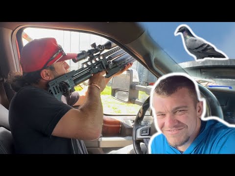 Pigeon Hunting With KENDALL GRAY