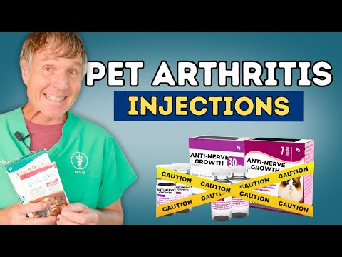 What's the REAL Truth About Librela and Solensia Injections for Pets?