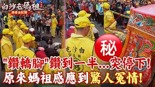 "鑽轎腳"鑽到一半粉紅超跑突停下?! 原來媽祖感應到了"驚人冤情"