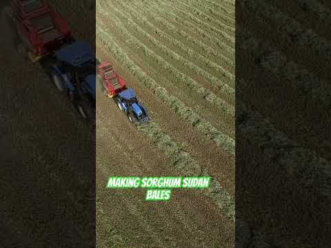 Drone view making round hay bales #shortsvideo #agriculture #drone #tractor