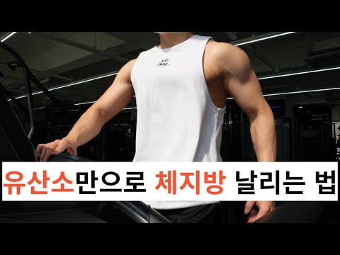 유산소 효과 200% 올리는 법(기구별 정리)