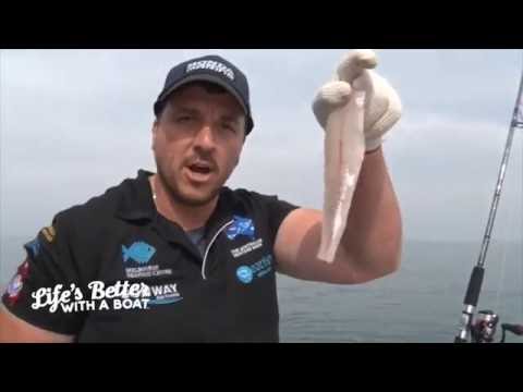 How to fillet King George Whiting