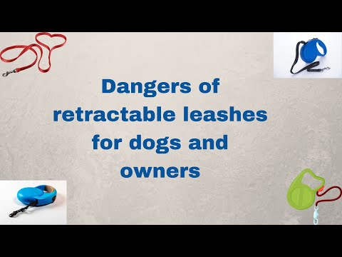 Dangers of retractable leashes for dogs and owners