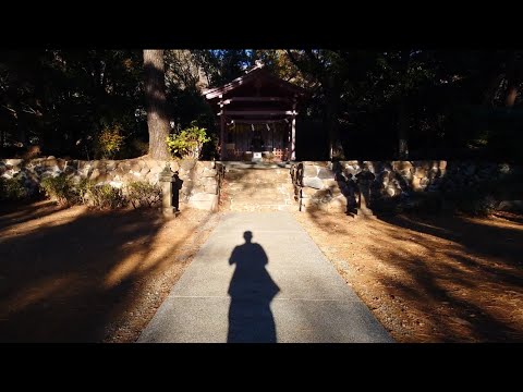 【冬詣】伊豆山神社 本宮 お詣り 202312「日出づる国」再建する家康