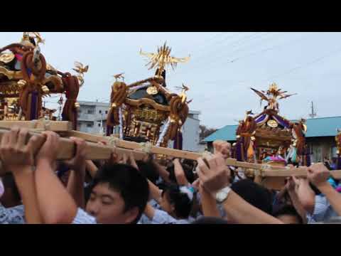 勝浦大漁祭り2018　総担ぎ　墨名区