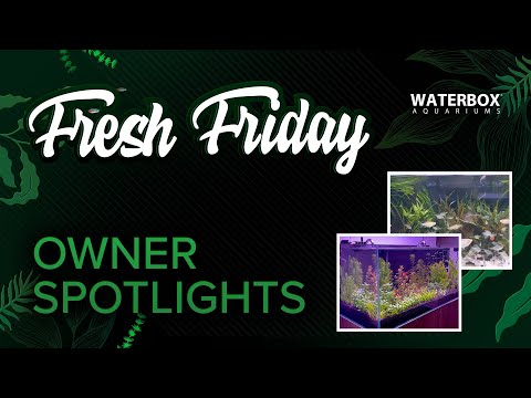 Waterbox Owner Spotlights