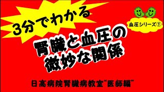 腎臓と血圧の微妙な関係：血圧シリーズ①