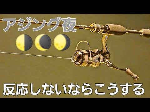 【アジング基礎】何をしてるか分からない。アジング初心者さんにおすすめなアジング釣り方で秋アジを狙ってみました