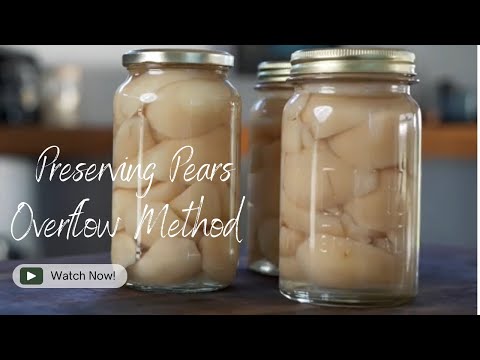 Preserving Pears | Overflow Method | Stores for Years