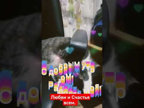 С добрым утром Счастье Моё. ❤️💋