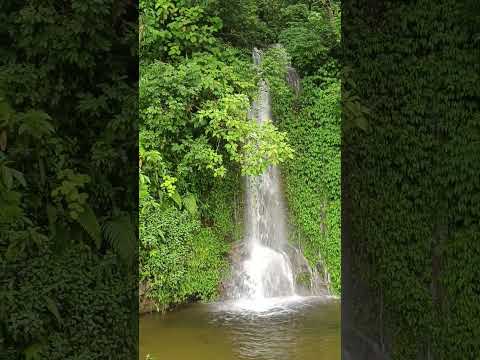 #naturalbeauty #waterfall #nepal