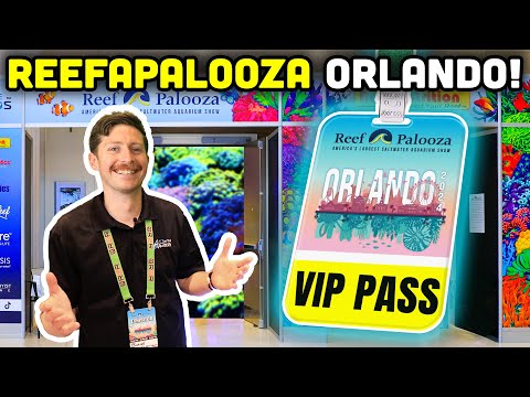 Reefapalooza Orlando 2024: TSA's Complete Overview!