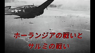 【ゆっくり歴史解説】ホーランジアの戦いとサルミの戦い【知られざる激戦62】