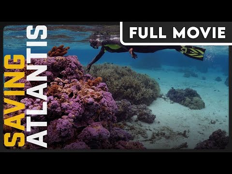 Saving Atlantis - The Future of Coral Reef Ecosystems - Climate Change - FULL DOCUMENTARY