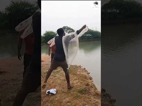 இதுல மீன் பிடிக்குறது ரொம்ப கஷ்டம் Throwing Fish Catching Net #mrsuncity