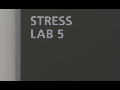 How A Stress Test Works