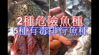 台灣5種毒魚排行榜 + 2種危險魚種 2021