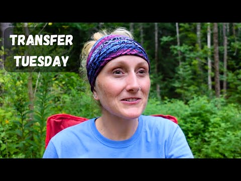 Work is picking up and the sharks are circling!🦈 | Transfer Tuesday