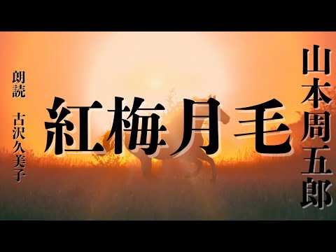 【朗読】山本周五郎「紅梅月毛」