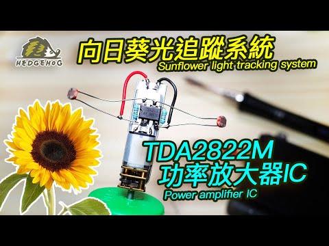 向日葵光追蹤之~TDA2822M新玩法/ Light tracker with TDA2822M IC【Hedgehog刺蝟幫】