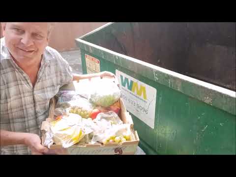 ALDI Dumpster Diving for Food!