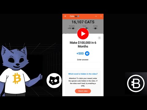 Make $100,000 in 6 Months - Cats Video Code