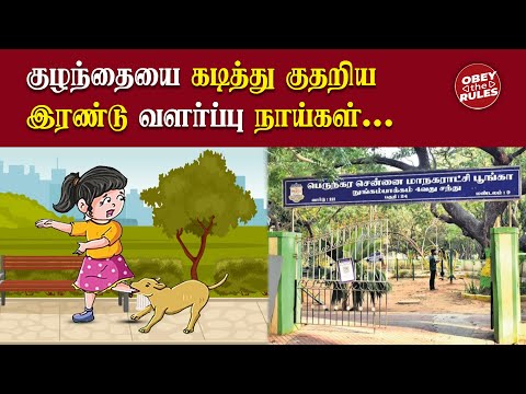 குழந்தையை கடித்து குதறிய இரண்டு வளர்ப்பு நாய்கள்.. Dog Bites #otr