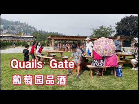 长周末探访Quail's Gate葡萄酒庄园，品味美酒与风情