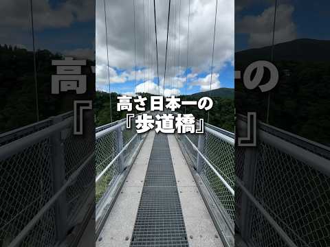 【大分県】高さ日本一の歩道橋！？#shorts #大分県 #旅行