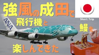 【強風の成田空港】幻のブランド鰻「共水うなぎ」を食べて、手に汗握る着陸シーンを見てきました。