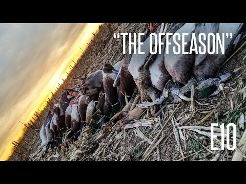 What's Your Favorite State to Waterfowl Hunt