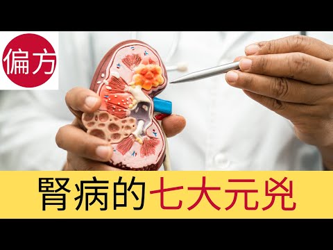 腎病的七大元兇