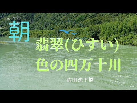 翡翠(ひすい)色の四万十川！台風10が去った佐田沈下橋