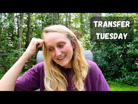 Phantom charges from MOHELA 👹 | Transfer Tuesday