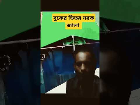 বুকের ভিতর নরক জালা   #motivation #video #funny #cat