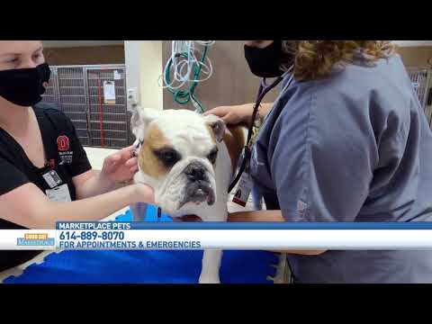 GDM: Ohio State Veterinary Medical Center - Dublin 111220