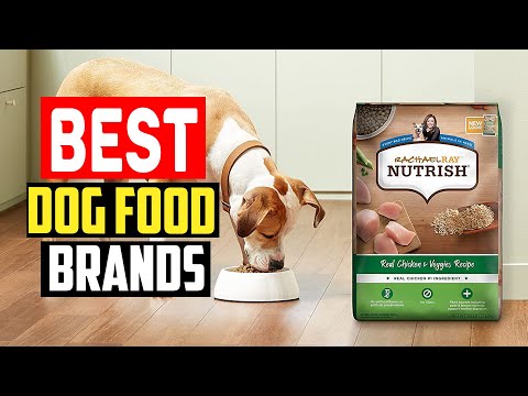 ✅Best Dog Food Brands in 2023