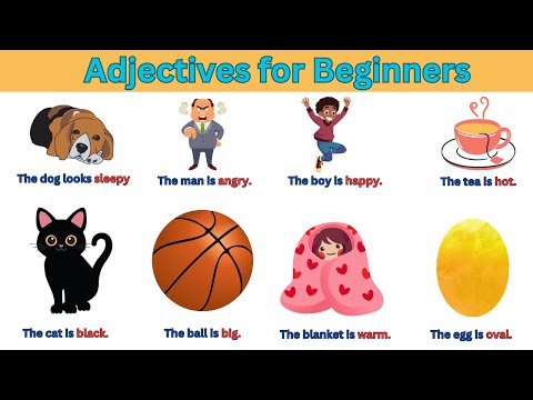 More than 50 comparative adjectives | English for Kids | English Vocabulary | #englishlearningvideo