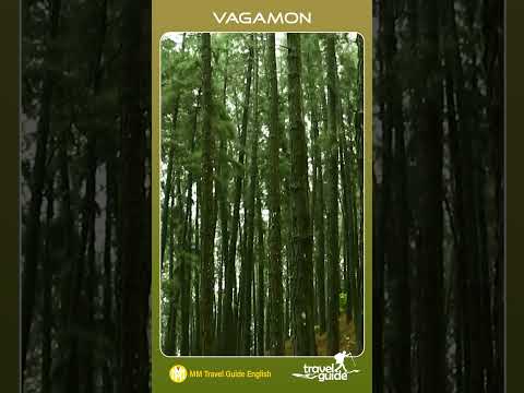 Vagamon | Travel Videos #shorts #mmtravelguide