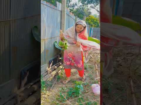 রাগ কইরোনা মনের মানুষ #song #trending #viralvideo