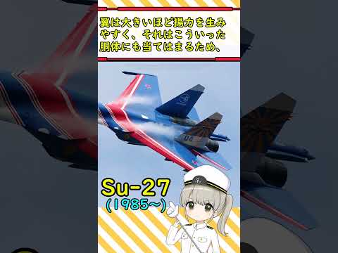 なぜSu-27戦闘機にはしっぽが付いているの？ #military