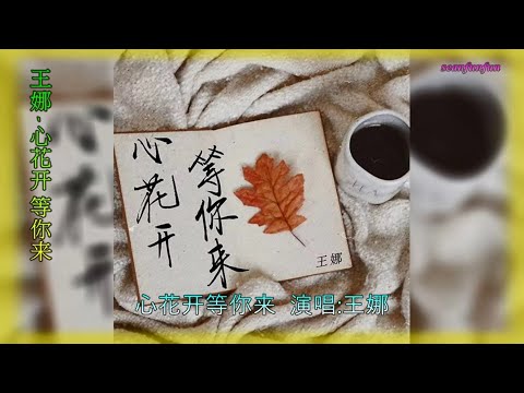 【心花开 等你来】演唱 :王娜