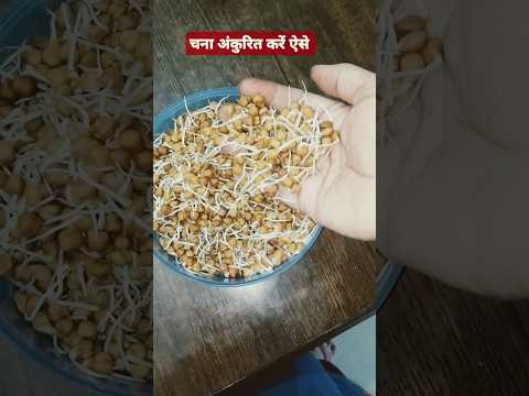 ठंड में चना अंकुरित करने का तरीका #shortsfeed #food #cookingtips #experiment #funny #entertainment