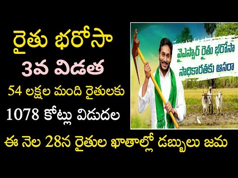 రైతు భరోసా 3వ విడత డబ్బులు విడుదల 2024|ysr rythu bharosa latest updates today 2024