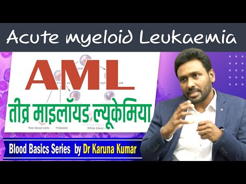 Acute Myeloid Leukaemia in Hindi | AML Risk stratification | Blood Cancers staging | Dr Karuna Kumar