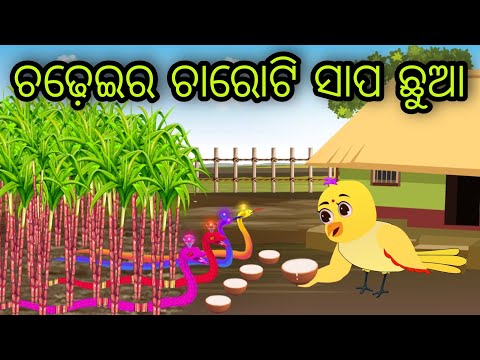 ଚଢ଼େଇର ଚାରୋଟି ସାପ ଛୁଆ | Chadheira  Sapa Chhua | Tiki Chadhei Gapa | Odia Chadhei Gapa | New Story