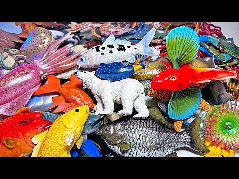 300 Sea Animals, Lobster, Stingray, Koi, Polar Bear, Seal, Penguin, Manta Ray, Crab, Octopus, Squid