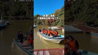 秋の千葉房総日帰りツアー！紅葉&温泉#千葉旅行 #千葉観光